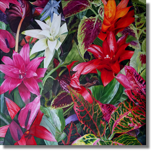 Sheffield Hot House Plants
oil on canvas
70 x 70 cm
